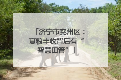 济宁市兖州区：夏粮丰收背后有“智慧田管”