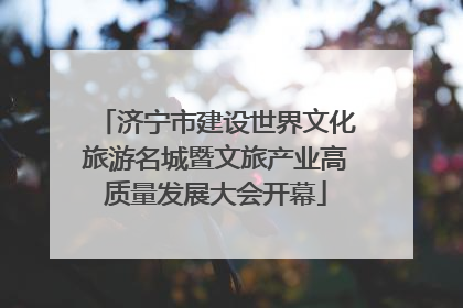 济宁市建设世界文化旅游名城暨文旅产业高质量发展大会开幕