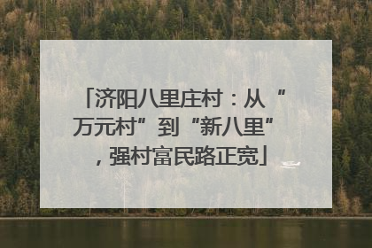 济阳八里庄村：从“万元村”到“新八里”，强村富民路正宽