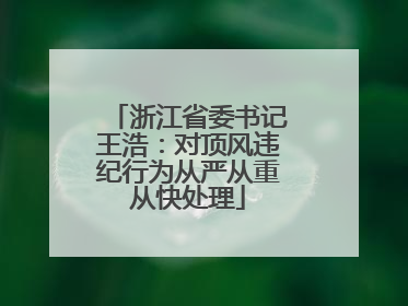 浙江省委书记王浩：对顶风违纪行为从严从重从快处理