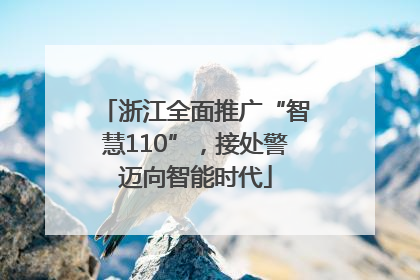 浙江全面推广“智慧110”，接处警迈向智能时代