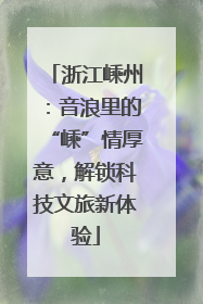 浙江嵊州：音浪里的“嵊”情厚意，解锁科技文旅新体验