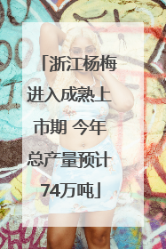 浙江杨梅进入成熟上市期 今年总产量预计74万吨