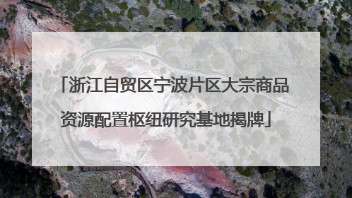 浙江自贸区宁波片区大宗商品资源配置枢纽研究基地揭牌