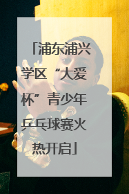 浦东浦兴学区“大爱杯”青少年乒乓球赛火热开启