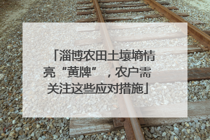 淄博农田土壤墒情亮“黄牌”，农户需关注这些应对措施