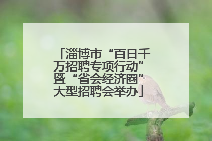 淄博市“百日千万招聘专项行动”暨“省会经济圈”大型招聘会举办