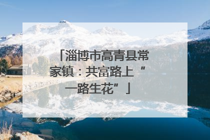 淄博市高青县常家镇：共富路上“一路生花”