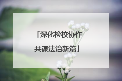 深化检校协作 共谋法治新篇