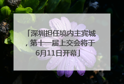 深圳担任境内主宾城，第十一届上交会将于6月11日开幕