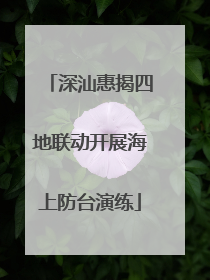 深汕惠揭四地联动开展海上防台演练