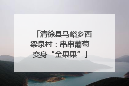 清徐县马峪乡西梁泉村：串串葡萄变身“金果果”