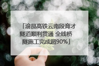 渝昆高铁云南段育才隧道顺利贯通 全线桥隧施工完成超90%