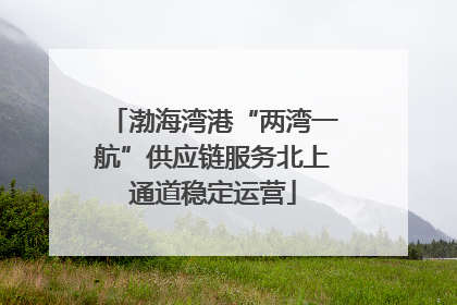 渤海湾港“两湾一航”供应链服务北上通道稳定运营