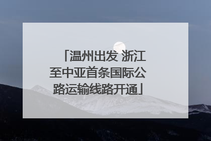 温州出发 浙江至中亚首条国际公路运输线路开通