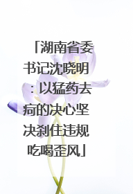 湖南省委书记沈晓明：以猛药去疴的决心坚决刹住违规吃喝歪风