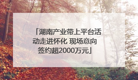 湖南产业带上平台活动走进怀化 现场意向签约超2000万元