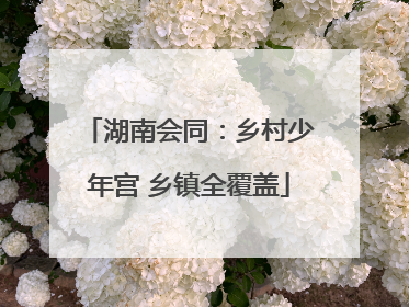 湖南会同：乡村少年宫 乡镇全覆盖