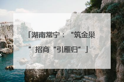 湖南常宁：“筑金巢”招商“引雁归”