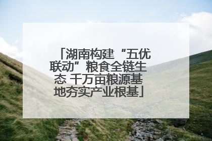 湖南构建“五优联动”粮食全链生态 千万亩粮源基地夯实产业根基