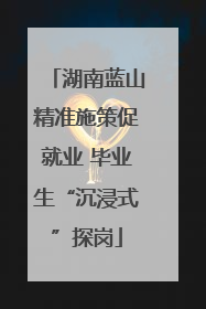湖南蓝山精准施策促就业 毕业生“沉浸式”探岗