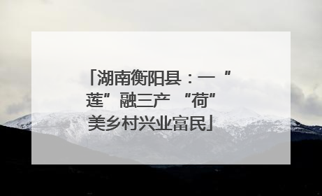 湖南衡阳县：一“莲”融三产 “荷”美乡村兴业富民