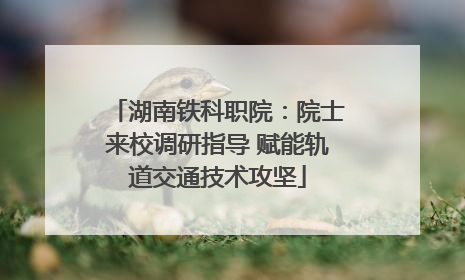 湖南铁科职院：院士来校调研指导 赋能轨道交通技术攻坚