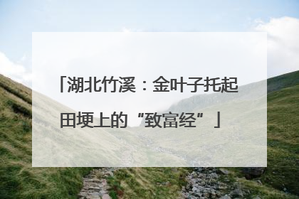 湖北竹溪：金叶子托起田埂上的“致富经”