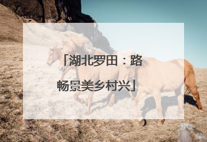 湖北罗田：路畅景美乡村兴