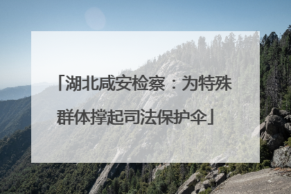 湖北咸安检察：为特殊群体撑起司法保护伞