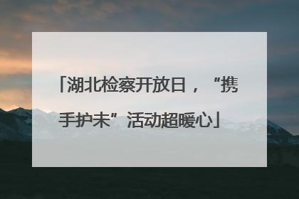 湖北检察开放日，“携手护未”活动超暖心