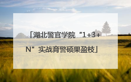 湖北警官学院“1+3+N”实战育警硕果盈枝
