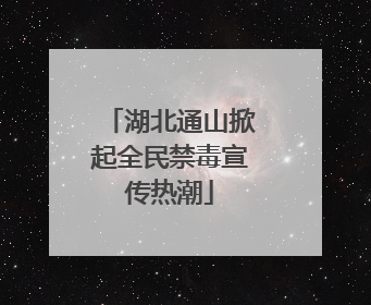 湖北通山掀起全民禁毒宣传热潮