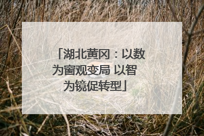 湖北黄冈：以数为窗观变局 以智为镜促转型