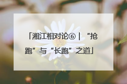 湘江相对论⑥｜“抢跑”与“长跑”之道