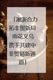湘浙合力拓非贸新局 雨花义乌携手共建中非贸易新通道