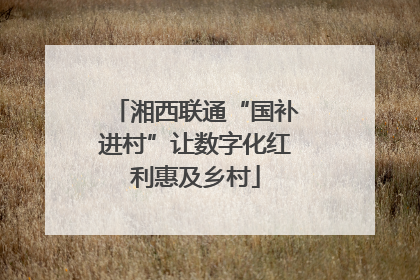 湘西联通“国补进村”让数字化红利惠及乡村