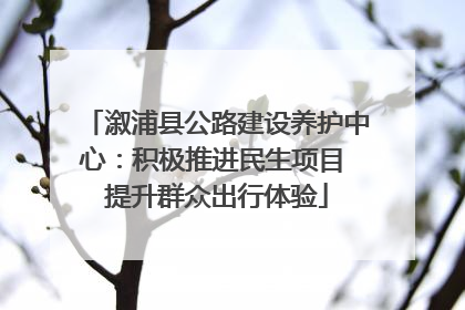 溆浦县公路建设养护中心：积极推进民生项目 提升群众出行体验