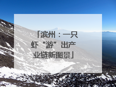 滨州：一只虾“游”出产业链新图景