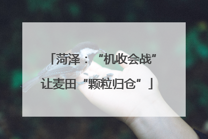 菏泽：“机收会战”让麦田“颗粒归仓”