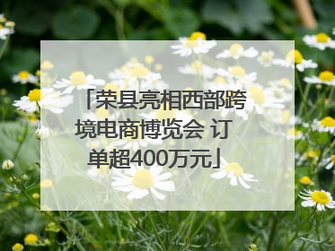 荣县亮相西部跨境电商博览会 订单超400万元