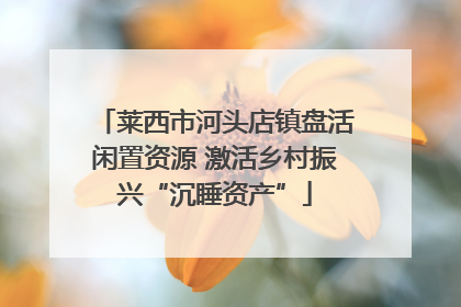 莱西市河头店镇盘活闲置资源 激活乡村振兴“沉睡资产”