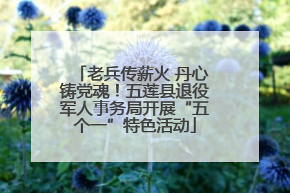 老兵传薪火 丹心铸党魂！五莲县退役军人事务局开展“五个一”特色活动