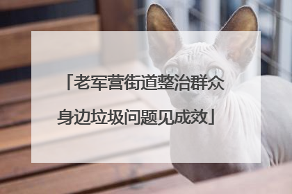老军营街道整治群众身边垃圾问题见成效