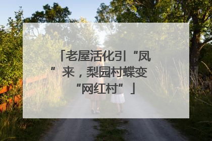 老屋活化引“凤”来，梨园村蝶变“网红村”