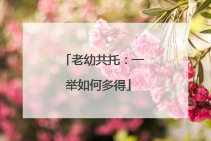 老幼共托：一举如何多得