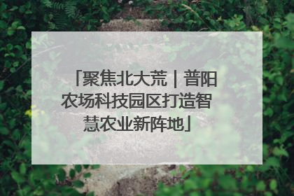 聚焦北大荒｜普阳农场科技园区打造智慧农业新阵地