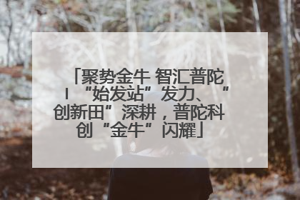 聚势金牛 智汇普陀〡“始发站”发力、“创新田”深耕，普陀科创“金牛”闪耀