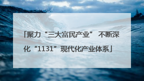 聚力“三大富民产业” 不断深化“1131”现代化产业体系