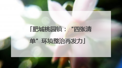 肥城桃园镇：“四张清单”环境整治再发力
